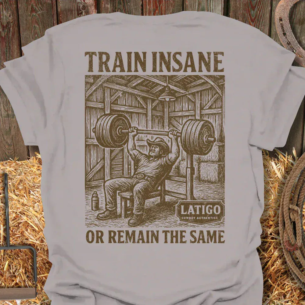 Latigo-Cowboy Authentics Ice Grey / S Training Tee